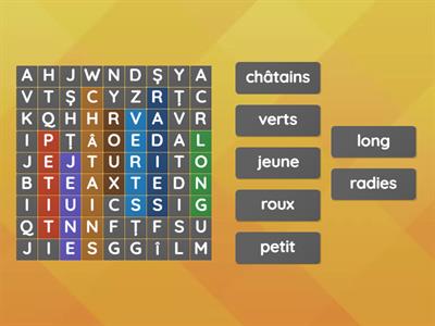 LA DESCRIPTION PHYSIQUE