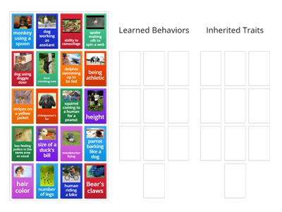 Inherited Traits vs. Acquired Traits- Sorting