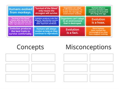 Human Evolution - Group Sort