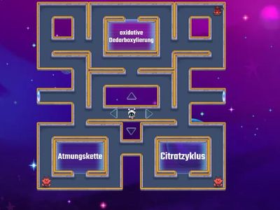 Zellatmung Übersicht