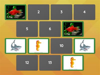 Sea animals (Memory test)