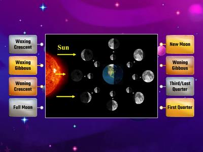 Phases of the Moon