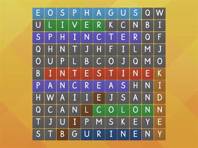 digestive system wordsearch