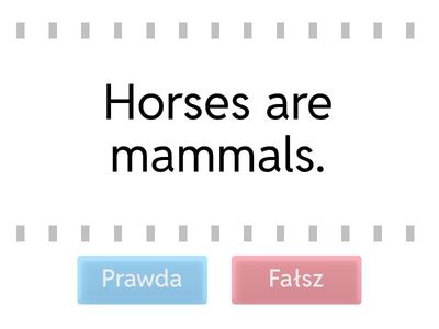 I Wonder 2.2 true/false