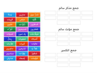 الجمع في اللغة العربية 