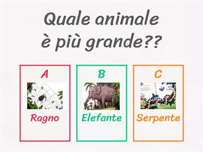 "Dov'è la mia mamma???"