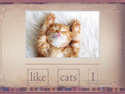 Present simple sentences 