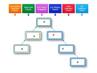 Levels of the Court - SS.7.C.3.11