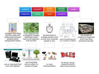 Unit 2 Science Vocabulary