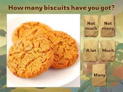 Spotlight 4. Unit 5. Much/Many