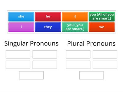 Singular and Plural Pronouns - Group Sort