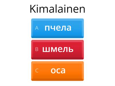 Ympäristötieto 4 lk hyönteiset - suomi-venäjä käännös / русский и финский