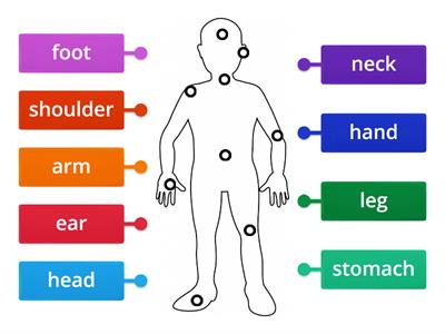 Body Parts: Simple