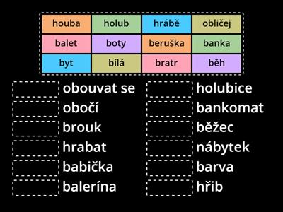 DIFRENCIACE (B): co k sobě patří