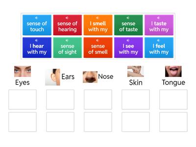 Senses, sense organs and sense verbs