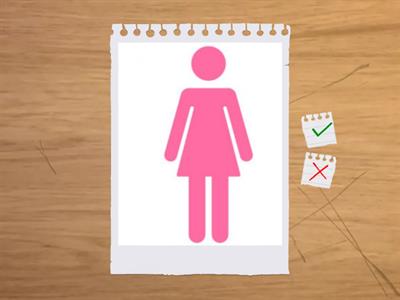 ADULTS A2/ 2D PRE-TEACH