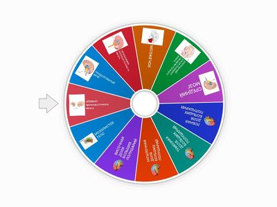 Колесо отделов головного мозга