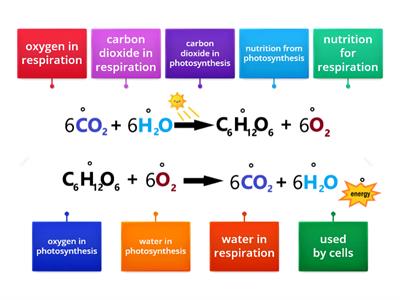 Photosynthesis vs Cellular Respiration (Chemical Equations)