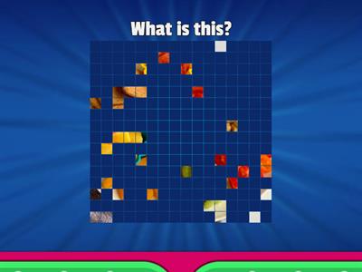 Day 38_SP 4_Challenge_pp. 92 - 95_GUESS THE IMAGE