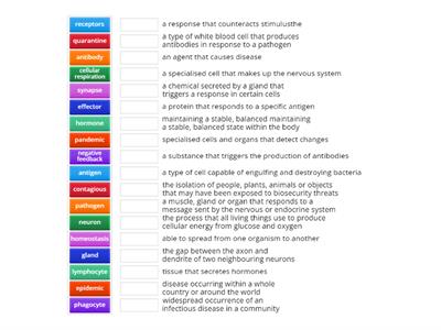 Nervous and Immune System