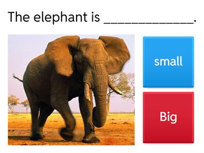 Adjectives - Together Starter