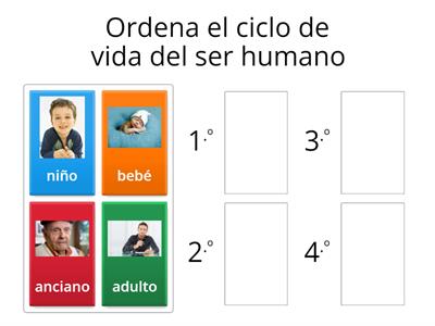 Ciclo de vida de las personas