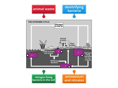 Nitrogen cycle easier