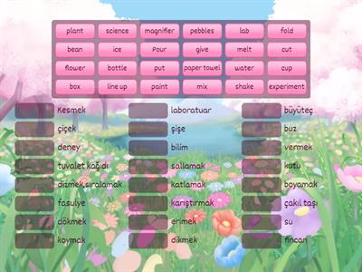 Unit 6 Fun with Science 