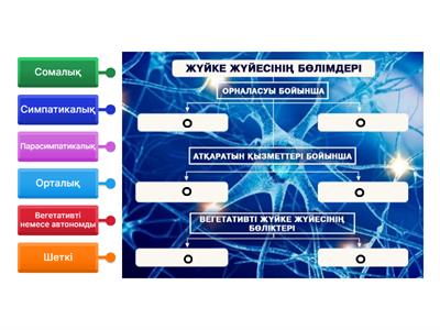 Видеода әйел үлкен жамбастарын көрсетті.