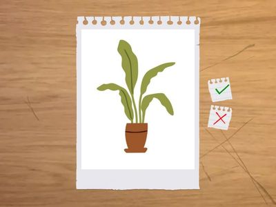 flash card things around me