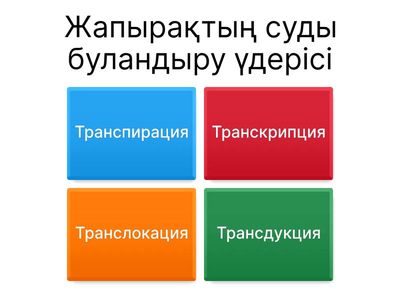 Caici косметикасына шолулар