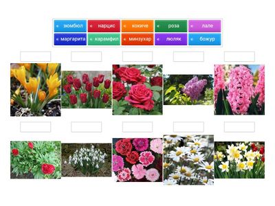 А2.1. - Цветове (стр.28/1-нови думи)