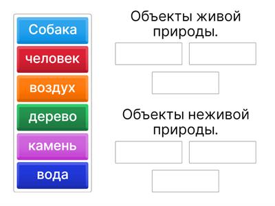 окружающий мир (2 класс)