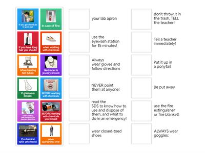 Matching Science Lab Safety