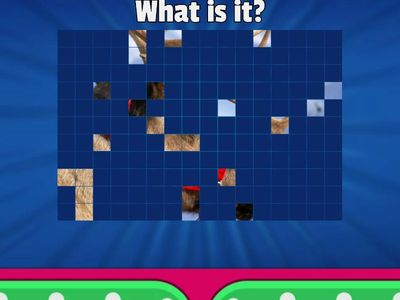 What is it? Christmas in Australia Edition