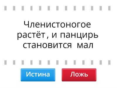 ракообразные правда ложь