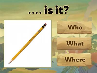 Who / What / When / Where