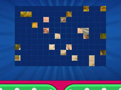 Grade 1 unit 1 image quiz