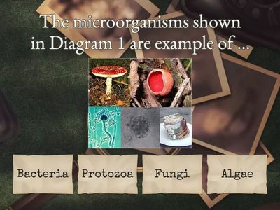 MICROORGANISMS(YEAR 6) | Exercise