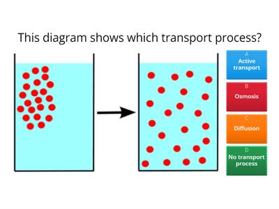 Diffusion and Osmosis