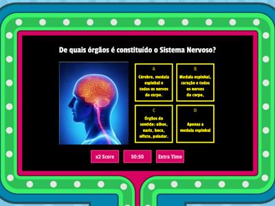 Sistema nervoso 