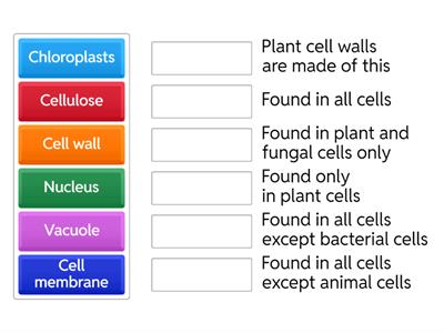 1.1 Cell Structures and Cell Types