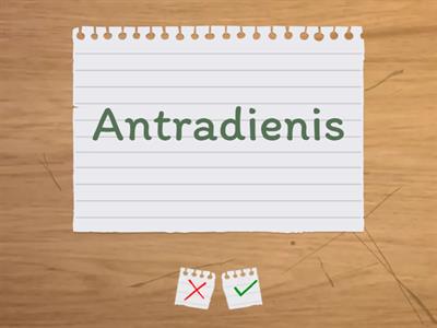 Daily activities  (Lithuanian-English) 