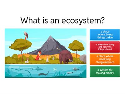 Important Terms for Ecosystems