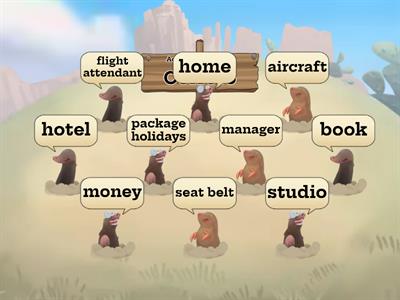 Hit all the moles that are about air travel vocabulary