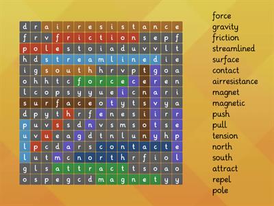 Forces and magnets vocabulary Year 3 