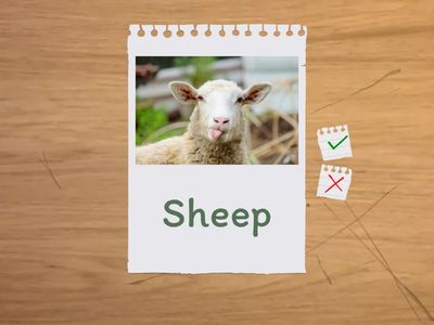 Pares mínimos con /iː/ y /ɪ/