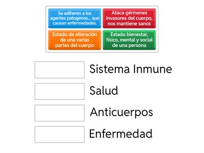 Salud Principios basicos 