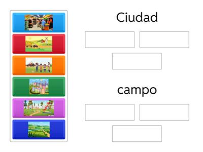 Campo y ciudad . Primer Grado