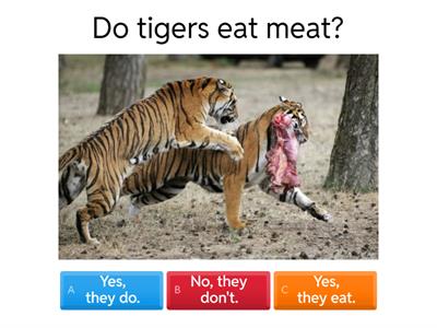 Short answers do/does Present Simple